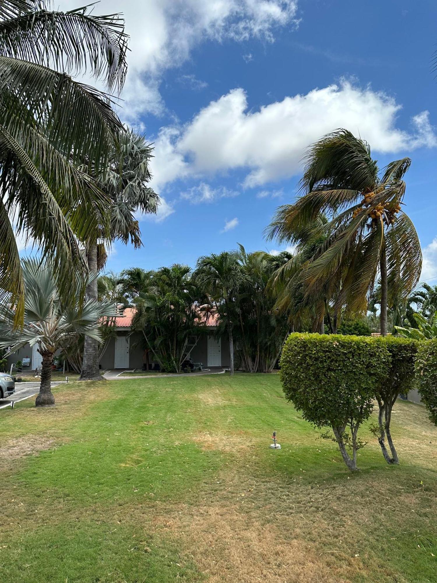 Windmill Apartments Curacao Willemstad Ngoại thất bức ảnh