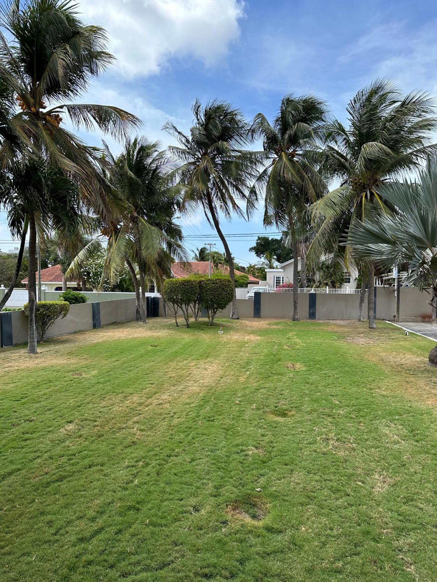 Windmill Apartments Curacao Willemstad Ngoại thất bức ảnh